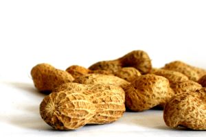 Ein paar Peanuts fürs kreative Volk. Foto: Ralf Julke