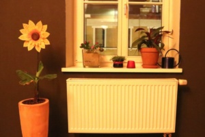 Heizung an und Straße warm? Foto: L-IZ.de