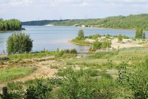 See in der sommerlichen Landschaft.