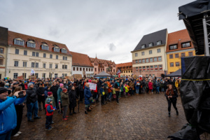 Menschenmenge bei Kundgebung.