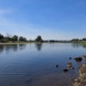 Die Elbe bei Dresden.